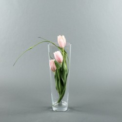 Conic L - Tulipe rose