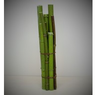 Bambou Fagot sur socle acrylique