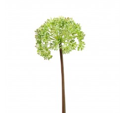 Angelica 48cm - Vert
