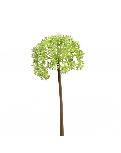 Angelica 48cm - Vert