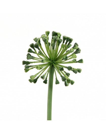 Allium 56cm - Vert