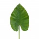 Alocasia leaf 84cm