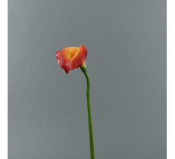 Arum 75cm - Orange