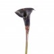 Calla Lily 98cm