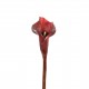 Calla Lily 75cm