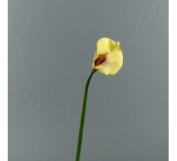 Arum 75cm - Jaune