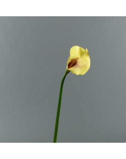 Arum 75cm - Jaune