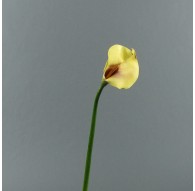 Arum 75cm - Jaune