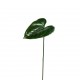 Anthurium leaf 46cm