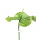 Anthurium stem 81cm