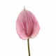 Anthurium 89cm - Rose clair