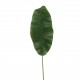 Banana leaf 170cm