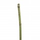 Bamboo stick 99cm