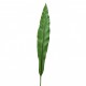 Bird nest leaf 61cm