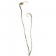 Branche de Saule plat 152cm - Marron