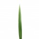 Flax leaf 61cm