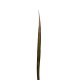 Flax leaf 95cm