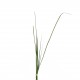 Grass bundle 85cm