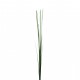 Herbes en fagot 104cm - Vert