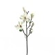 Magnolia branche avec feuilles 109cm - Champagne