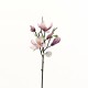 Magnolia branche avec feuilles 51cm - Fushia