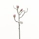 Magnolia branche de boutons 53cm - Fushia