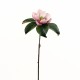 Magnolia Fashion 61 cm - Fushia