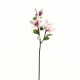 Magnolia branche avec feuilles 71cm - Fushia