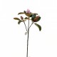 Magnolia 79cm