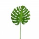 Monstera leaf 124,5cm