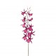 Orchidée Araignée 116 cm - Fushia