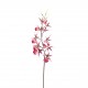 Orchidée Araignée 116 cm - Lavande