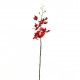 Phalaenopsis orchid 74cm
