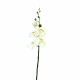 Phalaenopsis orchid x 2 88cm