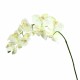 Phalaenopsis orchid 99cm