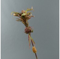 Branche d'ananas 90cm - Pourpre