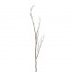 Tige de saule blanc 133cm - Marron Blanc