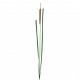 Grass with bud reed 110,5cm