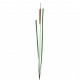 Herbe de roseau en bouton 110.5cm - Marron