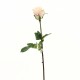Dutchess bud Rose 52cm