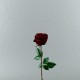 Rose Equatoriale 52cm - Rouge noir