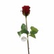 Rose Duchesse bouton tige courte 52cm - Rouge Noël