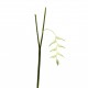 Torche Heliconia Pendula 91cm - Blanc