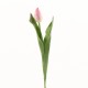 Tulip stem 41cm