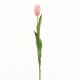 Tulip stem 81cm