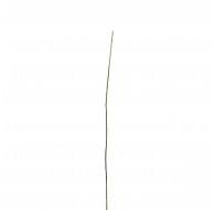 Brindille 100cm - Marron Vert