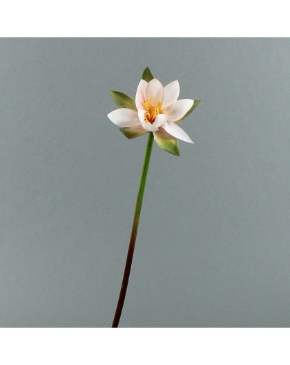 Lotus 71cm - Rose