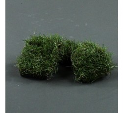 Herbes vertes 3.8cm avec terre. en sachet X4 - Vert