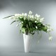BAHAMAS Lacquered wooden vase - White Tulips 120cm