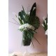 Gobelet XL - Amaryllis blanc. Arum blanc. feuilles exotiques